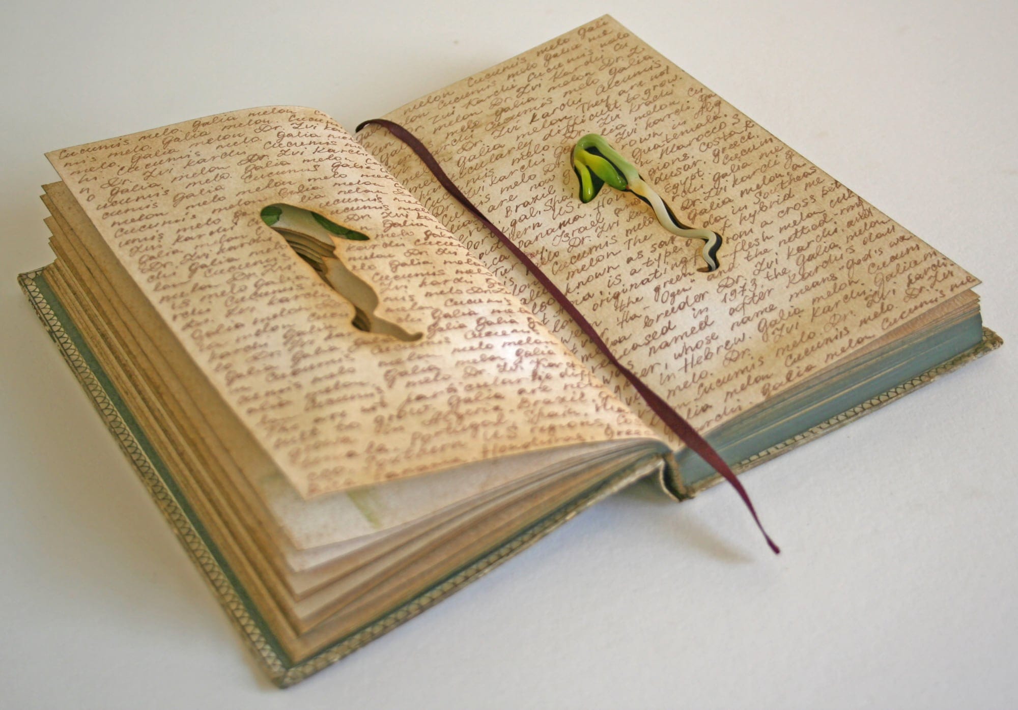 a hand bound worn book with red ribbon in the center and cursive covering the pages. a cutout reveals a small glass seedling nested into the pages