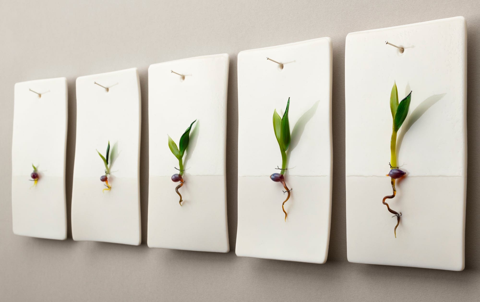 five white porcelain slabs hang on wall with small glass sprouts in their centers
