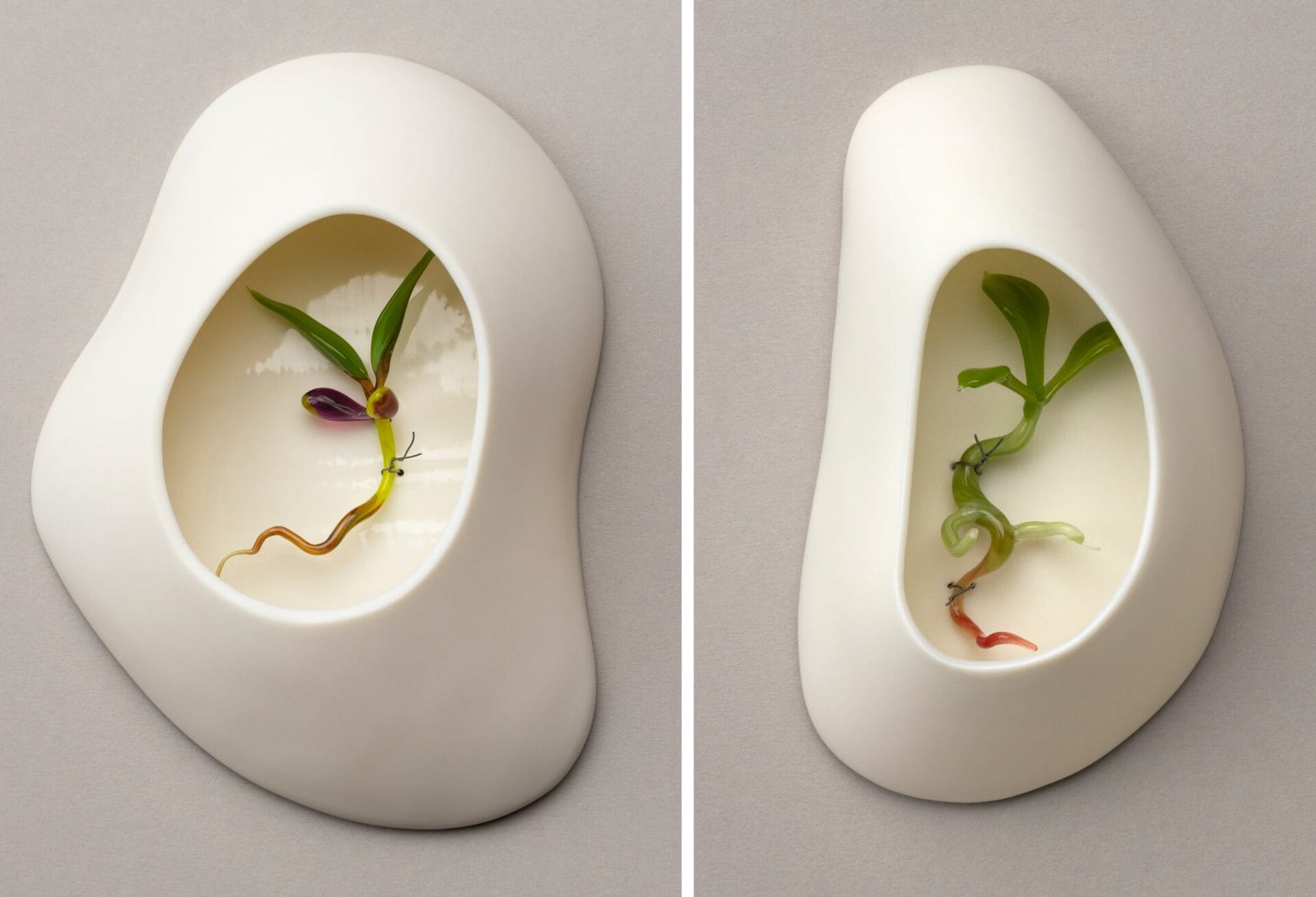 two images, both of small glass seedlings inside white porcelain nests