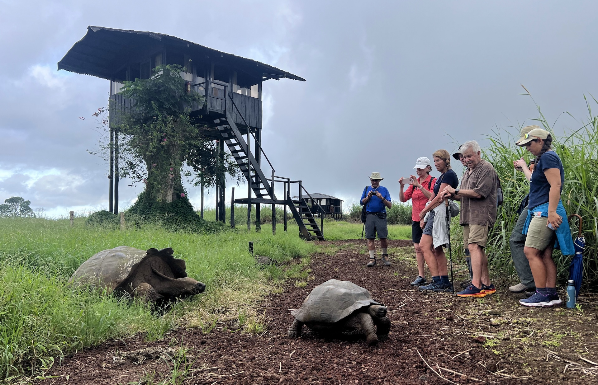 Guests at Nat Hab's private Tortoise Camp in the Galapagos by Luis Vinueza