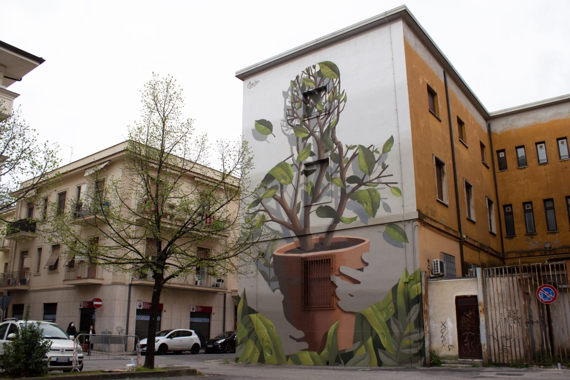 an overview of a city street with mural of a plant