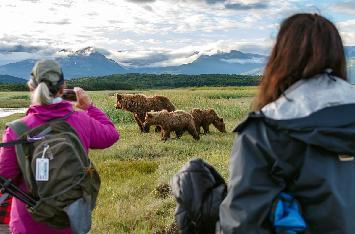 Mothers & Cubs: Spectacular Grizzly Photos from Alaska Adventures