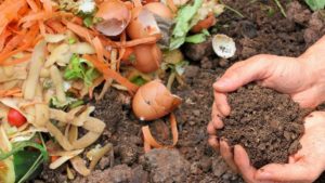 10 Weird Things You Can Actually Compost